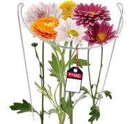 Vaso in acciaio KADAX, supporto per piante perenni, impianto a vite,...