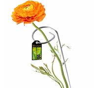 KADAX supporto per piante in acciaio verniciato a polvere, supporto per...