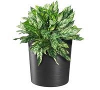 KADAX Vaso da fiori ⌀ 19 cm - in plastica e trucioli di legno riciclati per una decorazione rustica e autentica, ideale per interni ed esterni (Nero)