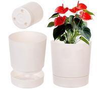 KADAX Vaso da fiori con sottovaso, diametro 34,5 cm, vaso in plastica per interni, vaso per piante con superficie opaca per piante da interno (crema)