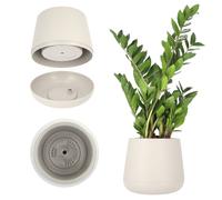 KADAX Flowerpot fatto di plastica, ⌀13-23 cm, 4 colori, pentola ovale con sottobicchieri nel set, vaso a pianta, vaso di fiori, fioriera, fioriera (⌀ 23 cm, beige)
