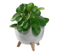 KADAX vaso da fiori con tre supporti, 24 cm, grigio