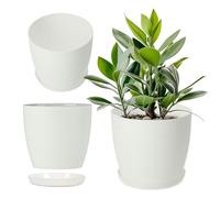KADAX Vaso da fiori, fioriera con piattino, vaso da fiori rotondo in plastica, vaso opaco per cactus, felci, fioriera lucida per balcone, appartamento e terrazza (⌀ 14 cm, bianco)