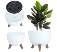 Simply The Best Roma Bowl 2021 | Vaso da fiori per piante di erbe aromatiche | Contenitore da giardino per balconi | Organizer Box Decor | (290, bianco)