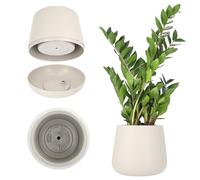 KADAX Vaso da fiori in plastica, diametro 13 - 23 cm, 4 colori, vaso ovale con sottovaso in set, vaso per piante, vaso per fiori, fioriera (diametro 13 cm, beige)