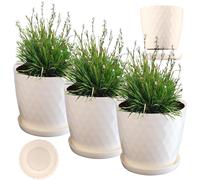 KADAX Vaso da Fiori con Sottovaso, Vaso per Fiori, Rotondo, 30 cm, Crema, 3 P...
