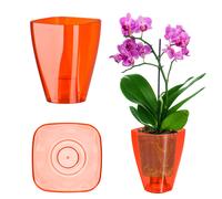 KADAX vaso da fiori, vaso per orchidee, vaso per orchidea, quadrato, 9 cm, rosso