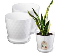 KADAX Vaso per fiori, in plastica con sottovaso, in materiale leggero, vaso decorativo per erbe aromatiche, vaso per fiori, piante, cactus e piante grasse (set da 2-25 + 30 cm, bianco)