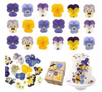 KADFEL Mix di 40 Pezzi di Fiori Naturali Essiccati e Pressati, Perfetti per Decorazioni di Torte, Cocktail e Artigianato Fai - da - Te, Con Infinite Possibilità di Manualità per Cartoline