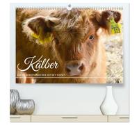 Kälber - Kleine Herzensbrecher auf den Wiesen (hochwertiger Premium Wandkalender 2026 DIN A2 quer), Kunstdruck in Hochglanz: Gutmütige und niedliche Tiere