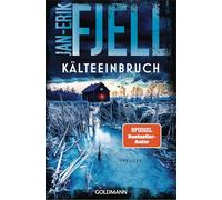 Kälteeinbruch: Thriller: 2