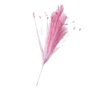 Kaeltsyn Elegante decorazione di nozze Erba della pampa artificiale per archi e luoghi Miglioramento Accessori di Natale Erba della Pampa artificiale realistica per decorazioni di festival