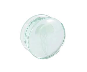 Kaeltsyn Pratici tappi per le orecchie geometrici meduse con texture in vetro alla moda adatti per un'espansione del vetro unica e confortevole, 10mm, come descritto, come descritto