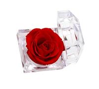 Kaeltsyn Soluzione di stoccaggio dei gioielli delle rose conservate dell'ABS per i consumatori che cercano l'esposizione pratica ed estetica dei fiori secchi dell'organizzazione, Misura unica, come