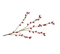 Kaeltsyn Spruzzi artificiali di salice d'argento per progetti di eventi e interni Pianta simulata per la disposizione creativa dello spazio l'esposizione di fiori modificabile