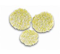 Kärcher 2.863-198.0 - Cepillos esponja suelos duros/PVC - NUOVO