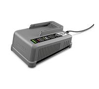 Kärcher Battery Power+ 18/60 caricatore rapido 18 V