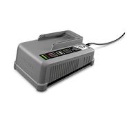 Kärcher Battery Power+ 18/60 caricatore rapido 18 V