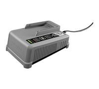 Kärcher Professional 2.445-045.0 Battery Power+ Caricabatterie rapido