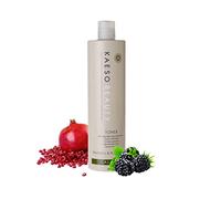 Kaeso Calming Toner - 495 ml