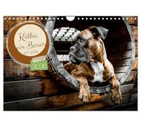 Käthe - ein Boxer mit Charme (Wandkalender 2026 DIN A4 quer), CALVENDO Monatskalender: Charmanter Boxer Käthe im Jahreslauf
