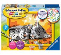 Kätzchen im Herbst. Malen nach Zahlen