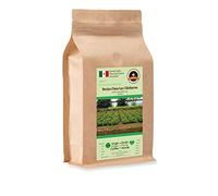 Kaffee Globetrotter │ Caffè con cuore │ Messico Finca Las Chicharras │ Fagiolo intero da 500 g │ Per macchine da caffè automatiche │ Caffè di alta qualità Il commercio equo e solidale sostiene