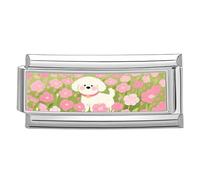 KAHDGSS Perline A Tema Fotografico Collegamento con Ciondoli Accessorio alla Bracciale Modulare Forniture per La Creazione Moduli Unici Adatti per Gioielli Accessori Fotografici Intercambiabili