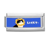 KAHDGSS Perline A Tema Fotografico Collegamento con Ciondoli Accessorio alla Bracciale Modulare Forniture per La Creazione Moduli Unici Adatti per Gioielli Accessori Fotografici Intercambiabili