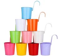 KAHEIGN 10Pz Metallo Vasi Da Fiori Appesi, 10cm Vasi Per Piante Secchiello Per Fiori Da Appendere Con Gancio Staccabile Per La Decorazione Della Casa Del Giardino Del Recinto Del Balcone (10 Colori)