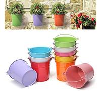 KAHEIGN 12 Pezzi Mini Vasi da Fiori Sospesi in Metallo, 6CM Vasi per Piante Secchio di Fiori Sospeso con Manico Staccabile per Decorazione Del Casa Giardino Recinto Balcone (12 Colori)