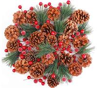 KAHEIGN 130 Pezzi Bacca di Pigna Artificiale di Natale, 20 Pigne Naturali, 100 Bacche Rosse, 10 Rami di Pino, Decorazione per Realizzazione di Ghirlande di Natale Ornamento Dell'albero di Natale