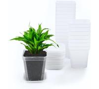 KAHEIGN 24 Pezzi Vasi per Piante Quadrati Trasparenti, 7CM Vasi da Fiori in Plastica Addensata Fioriera Succulenta Vasi da Vivaio con Pallet/Vassoi per Piccole Piante in Vaso