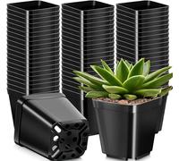 KAHEIGN 50 Pezzi Vasi per Piante Quadrati, 10CM Vasi da Fiori in Plastica Spessa Fioriera Succulenta Vasi da Vivaio con Fori di Drenaggio per Piccole Piante in Vaso (Nero)