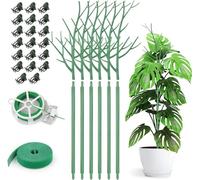 KAHEIGN 6 Pezzi Staccabili Pali di Supporto per Piante Ramoscelli, 70CM Bastoncini di Piante di Ramo Pali Rampicanti per Piante con Clip di Orchidee Cravatte a Spirale e Legami Vegetali