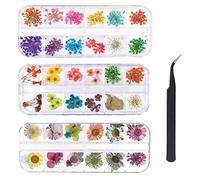 KAHEIGN 96 Pezzi Fiore Essiccato per Unghie, Fiore Secco Reale di Arte Del Chiodo 3D Decorazione per Nail Art Con Parti di Unghie Conservate per Manicure - con Pinzette