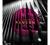 Kai Schumacher - RAUSCH (LP)