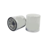 KAIAYGEE Filtro olio Compatibile con Nissan Maxima A32, A33 1994-2008, R51