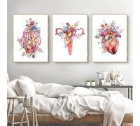 KAIDAARTLH Poster Anatomia Umana, Sistema Muscolare Umano Poster Set Arte Ufficio Medico, Senza Cornice(C,3x30x40cm)