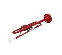 KAILNDF Tromba Classica in Si bemolle in Ottone Strumento Musicale Professionale Tromba Strumento Musicale