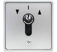 Kaiser Nienhaus 322200 Pulsante a chiave per apricancelli Da incasso