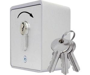 Kaiser Nienhaus 322600 Pulsante a chiave per apricancelli Da parete