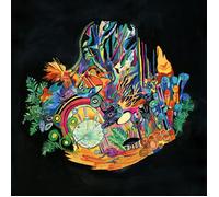 Kaitlyn Aurelia Smith Ears 12" Album