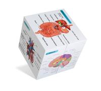 kaitnax Set di poster anatomici umani, cubo di studio anatomico, strumento di apprendimento per studenti di medicina, 9 parti, anatomia, cuore, muscoloso, scheletrico, digestivo, circolatorio, ecc