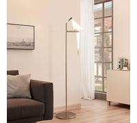 kaixunl Lampada da terra Bird oro moderna gru di Swing LED lampada in piedi, 3000K caldo paralume acrilico in piantana lampada da terra per soggiorno Camera da letto studio lettura, 1 testa