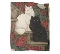 kaiyun Due gatti seduti sulle scale Coperta Lenzuola Per Dormitorio Di Nuova Concezione,morbida,confortevole,soffice,adatta A Tutte Le Stagioni 60x80inch(150x200cm)