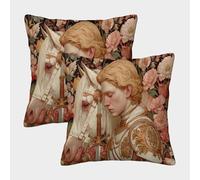 kaiyun Il giovane principe che impugna una spada Federa 2 Pacchi 50x50cm Copricuscini Per Cuscino Quadrata Adatta Per Cuscino Poltrona Letto