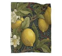 kaiyun Limone Coperta Da Campeggio Esterna Stampata Calda,morbida E Traspirante Copriletto Per Camera Da Letto Quattro Stagioni 60x80inch(150x200cm)