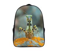 kaiyun Mantide Religiosa Sacchetti Di Scuola,Borsa Da Scuola Asilo,Insetto Ragazzi Per La Scuola Per Ragazze,Zaino Da Viaggio Alla Moda 16 inch