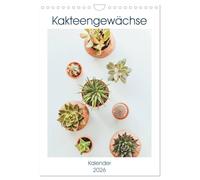 Kakteengewächse (Wandkalender 2026 DIN A4 hoch), CALVENDO Monatskalender: Jeder kennt die Kultpflanze: Die Kakteengewächse! Die fotografische ... diese auf eine moderne Art und Weise.